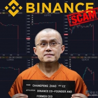 币安CEO赵长鹏在播客详细说了自己在美国狱中的经历：