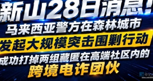 马来西亚森林城市突袭电诈窝点 330多人落网