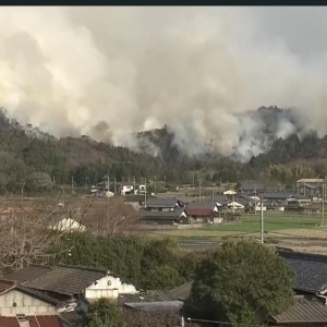 日本两地山火仍在蔓延 多校停课千余户紧急避难