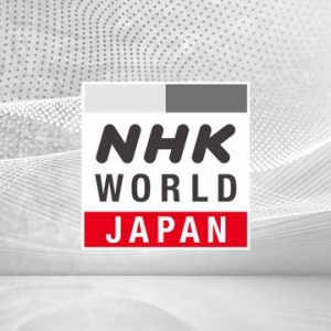 日本信用卡遭盗用去年造成创纪录的555亿损失