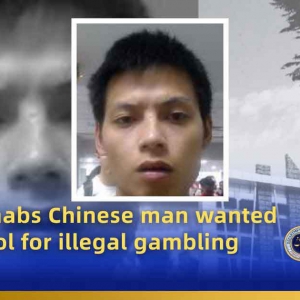 应中国协助请求菲律宾移民局逮捕一名中国籍红通犯！