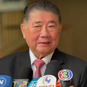 国防部长指出切断在线诈骗团伙资源举措成效显著。