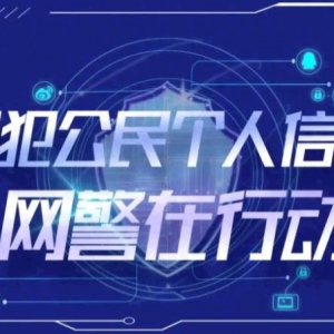 公安网安侦破一起侵犯公民个人信息案，扩线抓获涉案人员151人，涉案金额4300余万元 ...