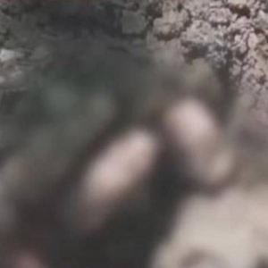 菲律宾马京达瑙省，橡胶树种植园发现三名不明身份的男子尸体 ...