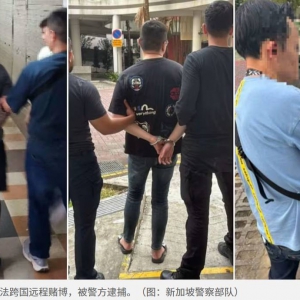 新加坡联合美国FBI破获惊天跨国网赌案 7名嫌犯被美国FBI定位抓捕落网 涉案金额超570万 ...