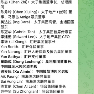 美国曝光太子集团：利润可观，因为没有成本”