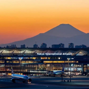 日本短期停留涉诈外国人数量激增 多与东南亚诈骗网络有关